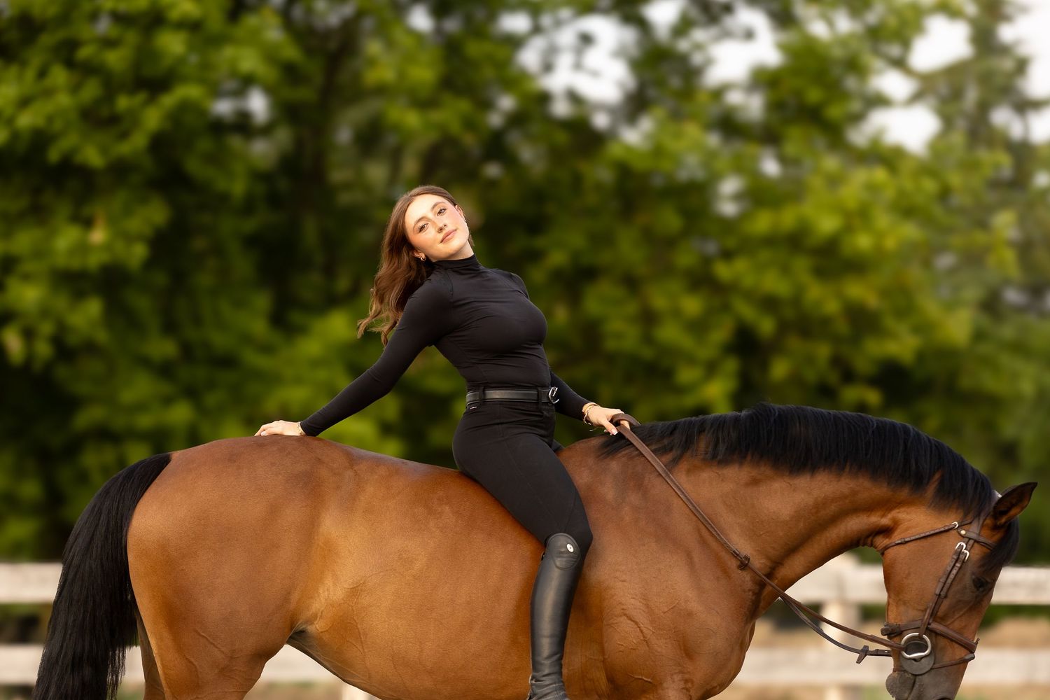 schomberg equine photoshoot, schomberg horse photographer, equine photographer newmarket, uxbridge equine photographer, horse portraits