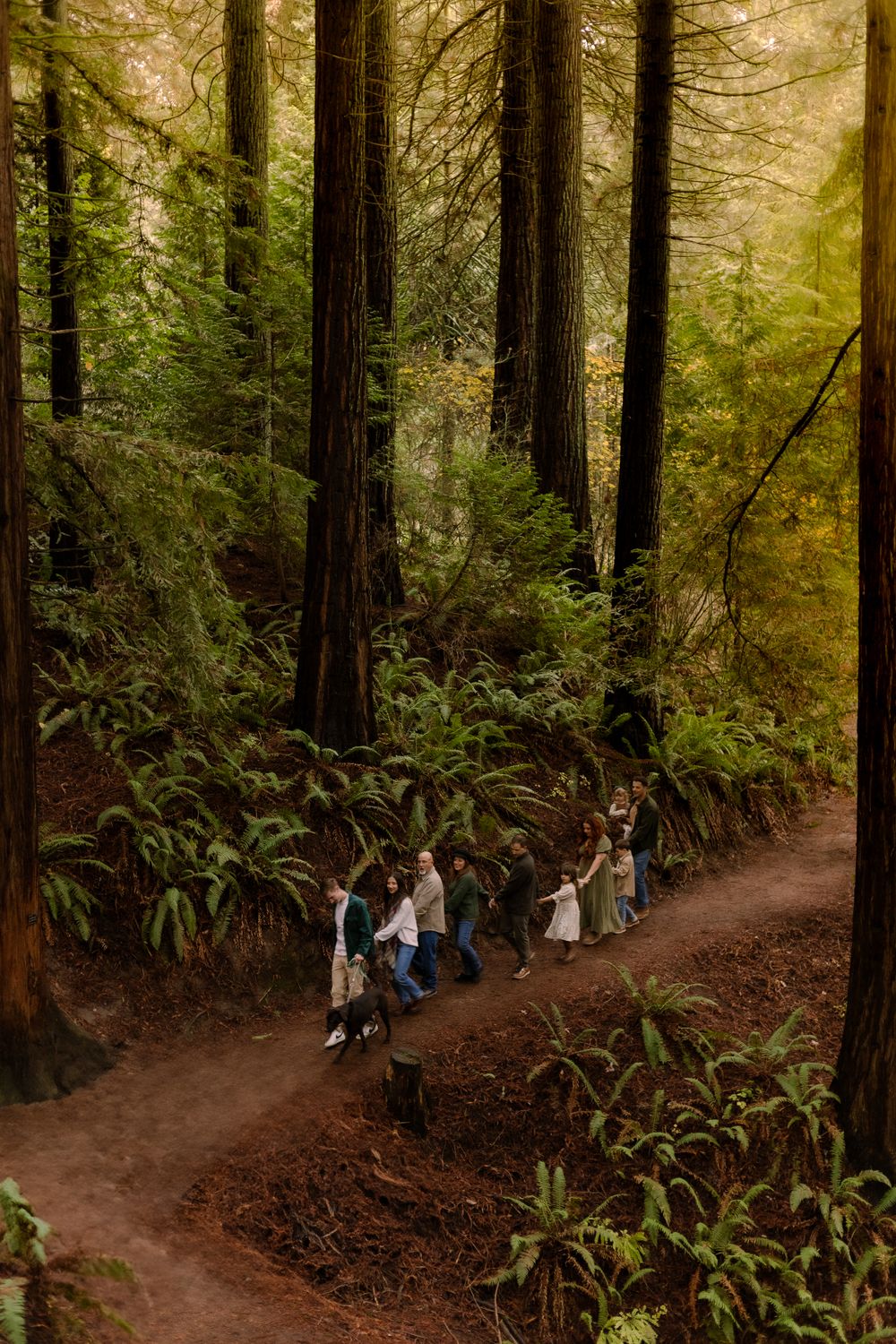 TCole Photography- Portrait Photographer, Portland Oregon