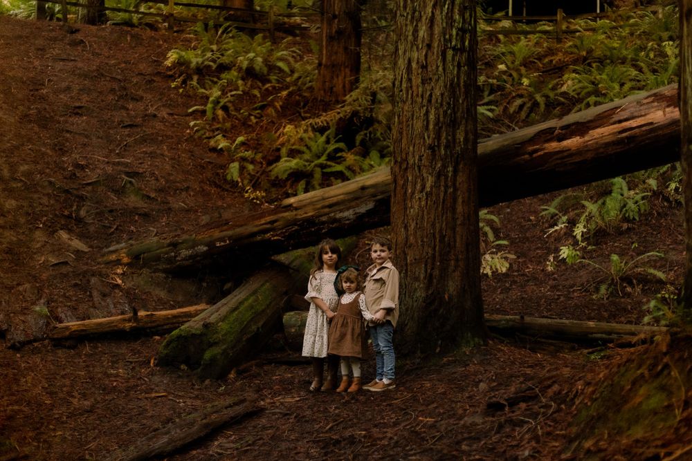 TCole Photography- Portrait Photographer, Portland Oregon