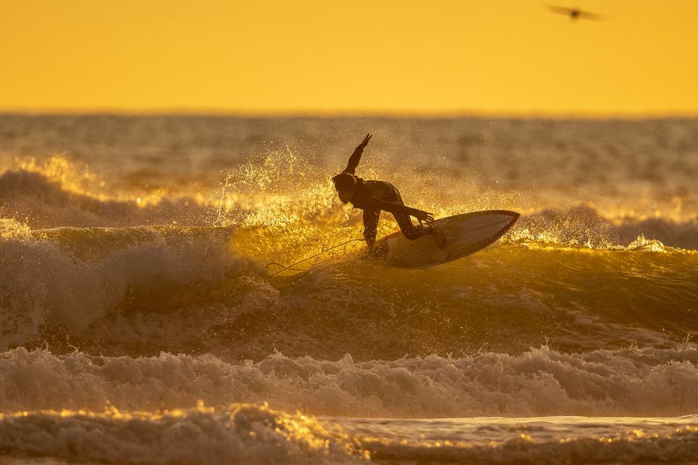 Surfer rides wave during golden sunset with warm sunlight illuminating ocean spray.