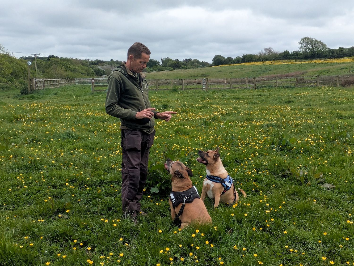 piratedog.co.uk dog behaviourist, trainer, 1-2-1 dog walking, photography. Devon and Cornwall