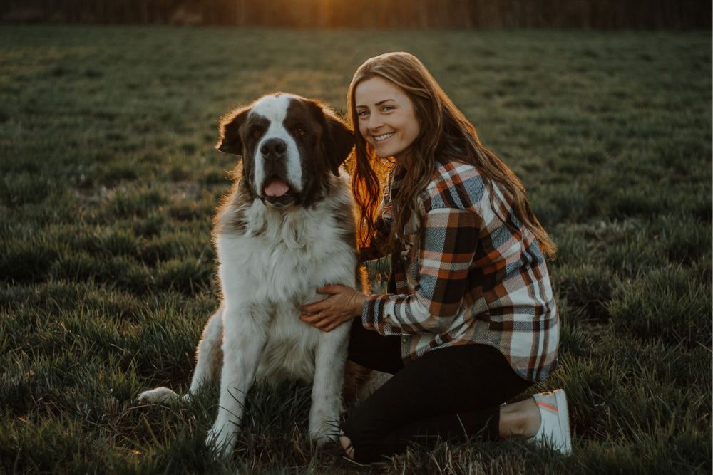 Smiling woman kneeling beside Saint Bernard dog in golden sunset field.