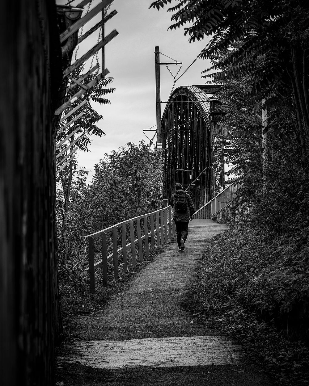 A silhouetted figure walks across a footbridge surrounded by trees and foliage in dramatic black and white photography.