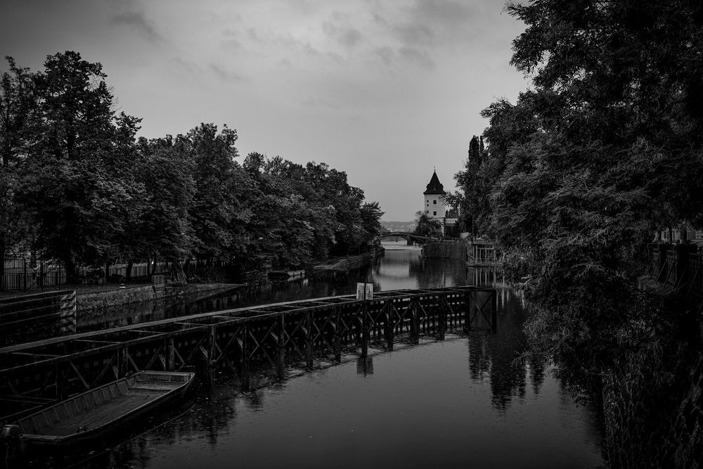 A serene black and white photograph showing a tranquil canal lined with trees and a wooden footbridge.