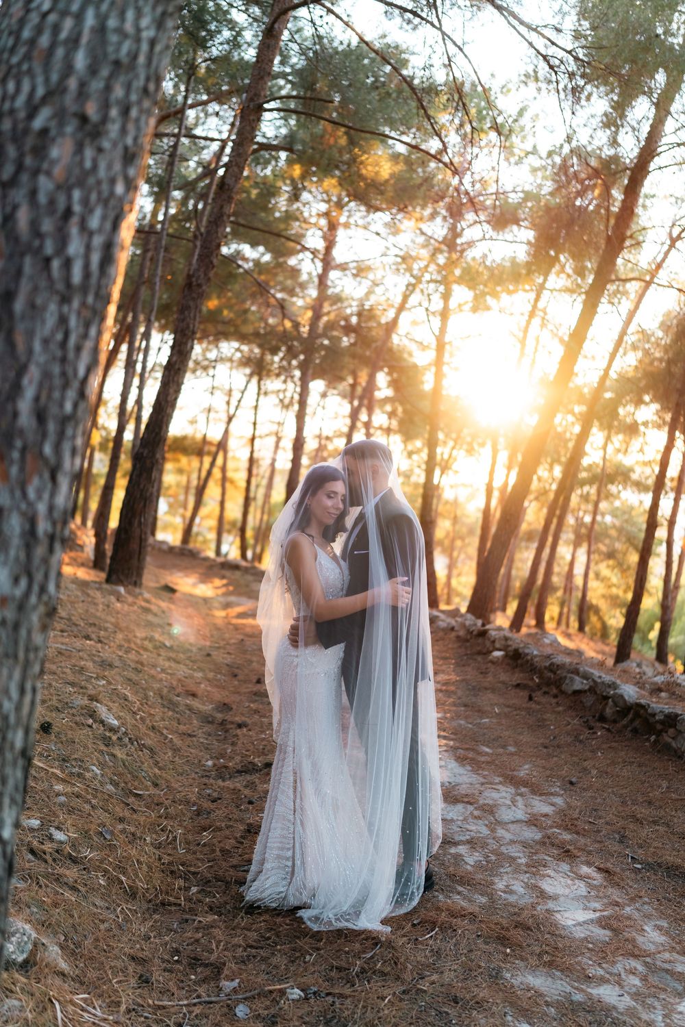 A romantic wedding couple embrace in a sunlit forest path at golden hour, their long veil flowing in the gentle breeze.
