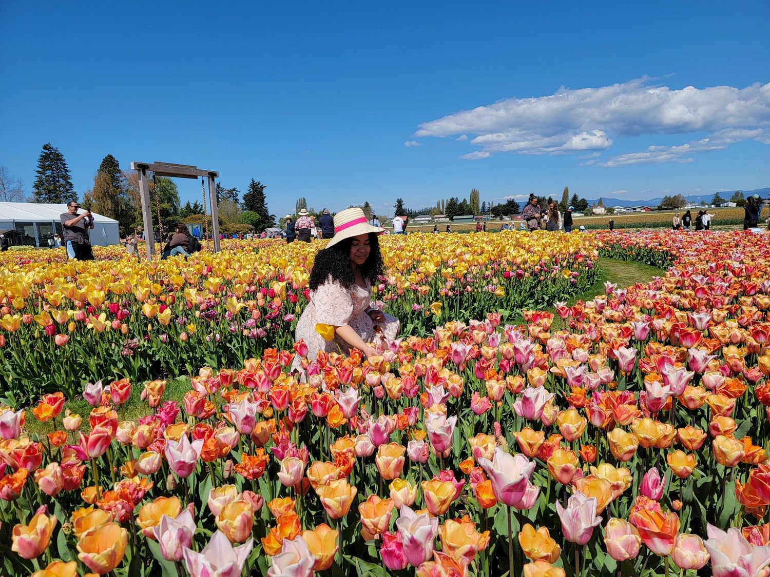 Spring tulip field portrait at RoozenGaarde with vibrant tulips and scenic views in Mount Vernon, WA at Skagit County Tulip Festival.