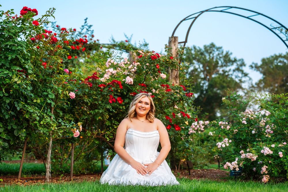 A garden portrait surrounded by blooming red roses and a decorative metal arch.