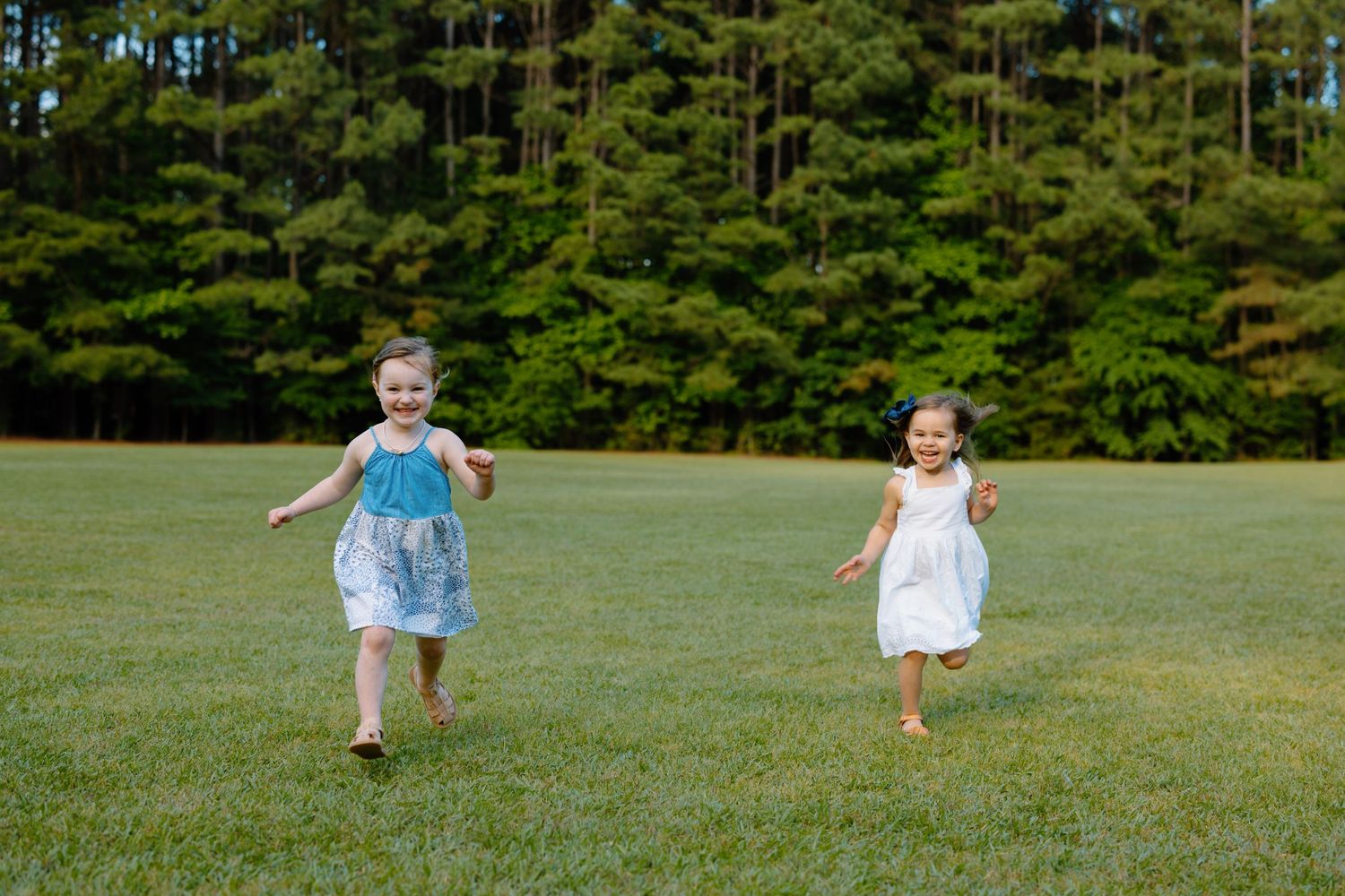 Two children run playfully across a green field with pine trees in the background.