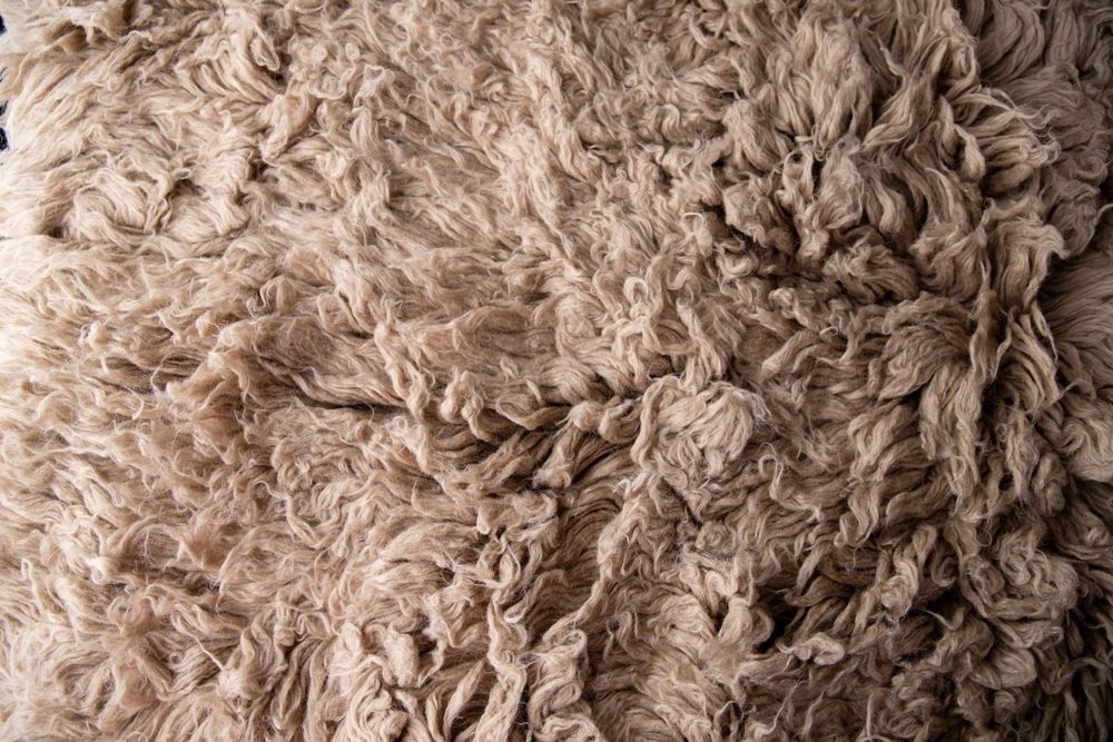 Close-up texture of soft curly beige wool fleece fabric background.
