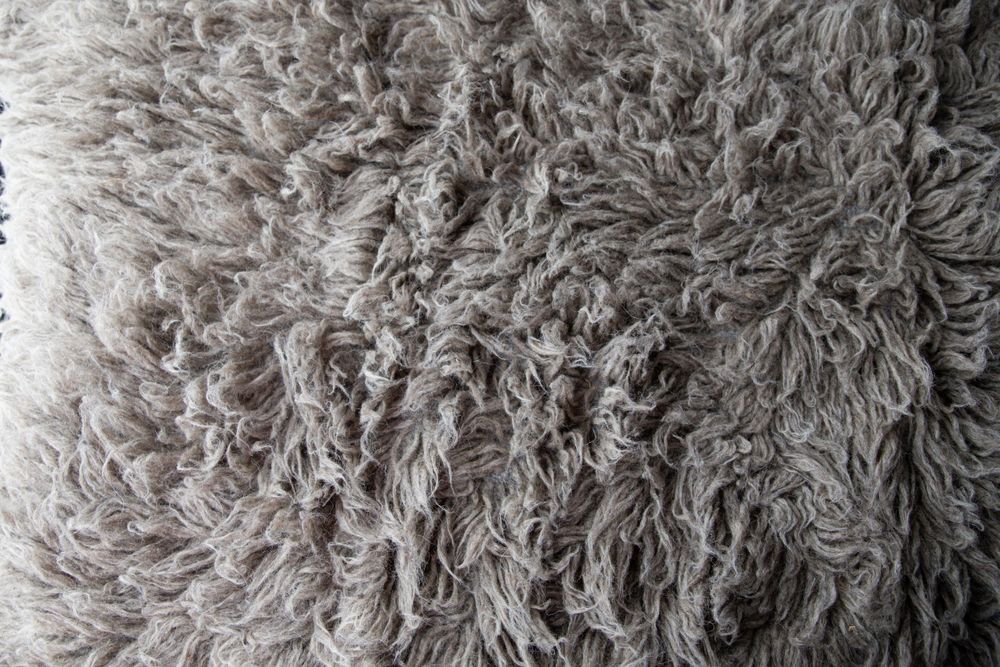 Detailed close-up of soft gray curly wool fleece texture background.