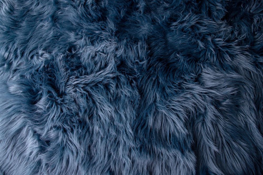 Close-up texture of soft dark blue curly fur fabric background.