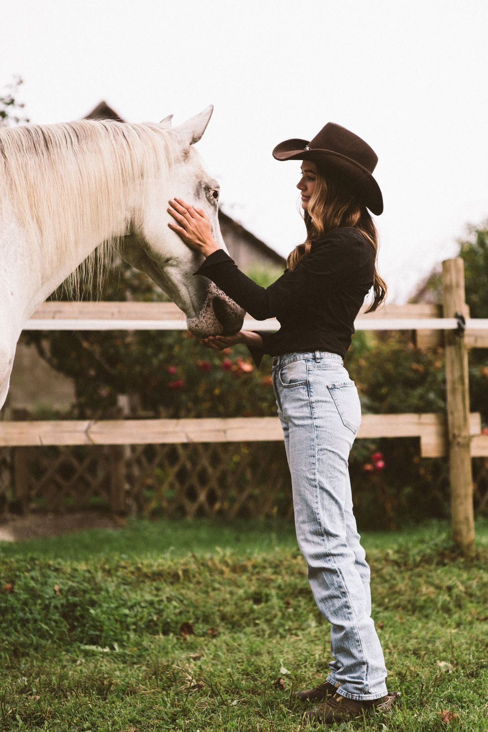 aesthetic horse Portrait