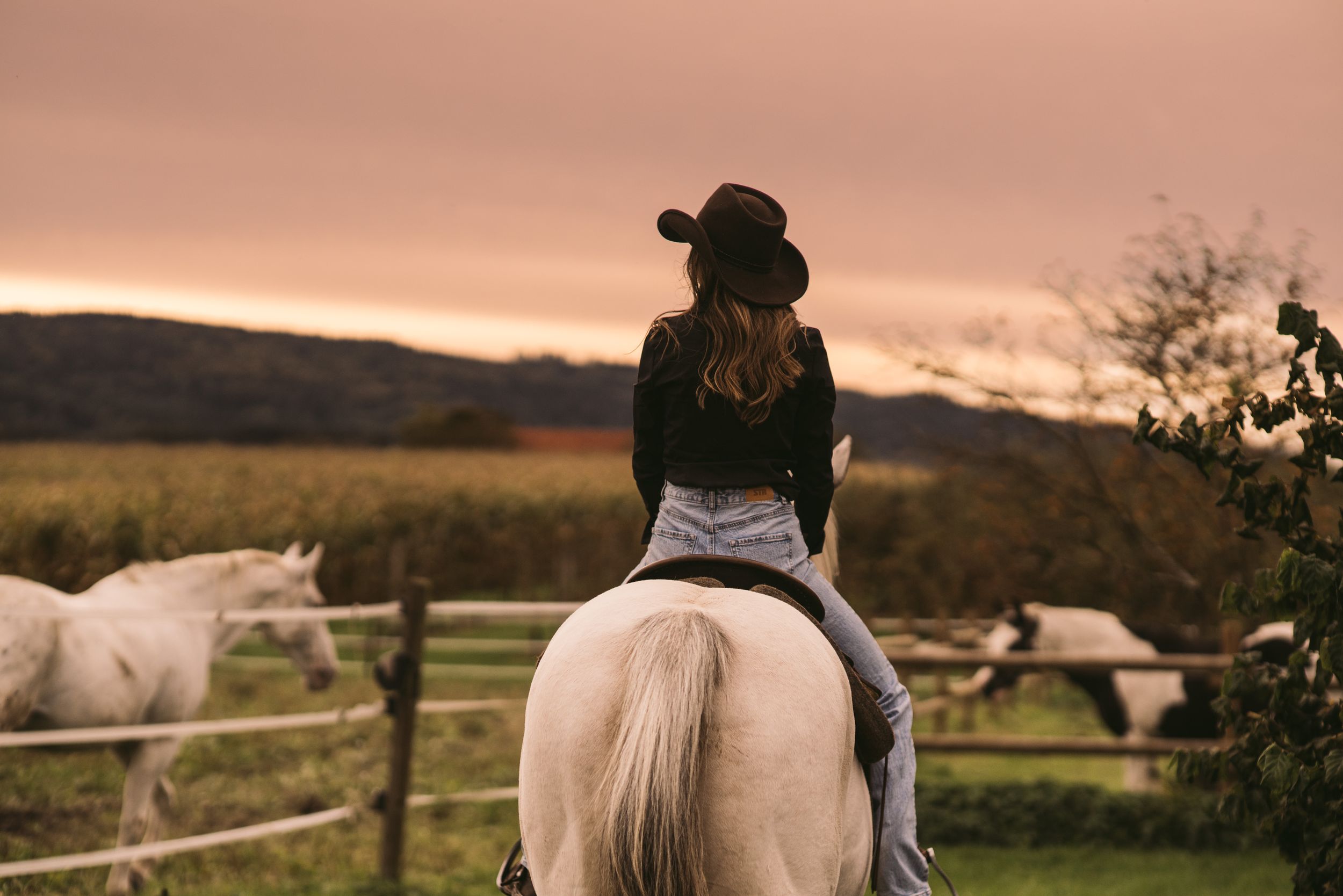 Sunset Horse riding