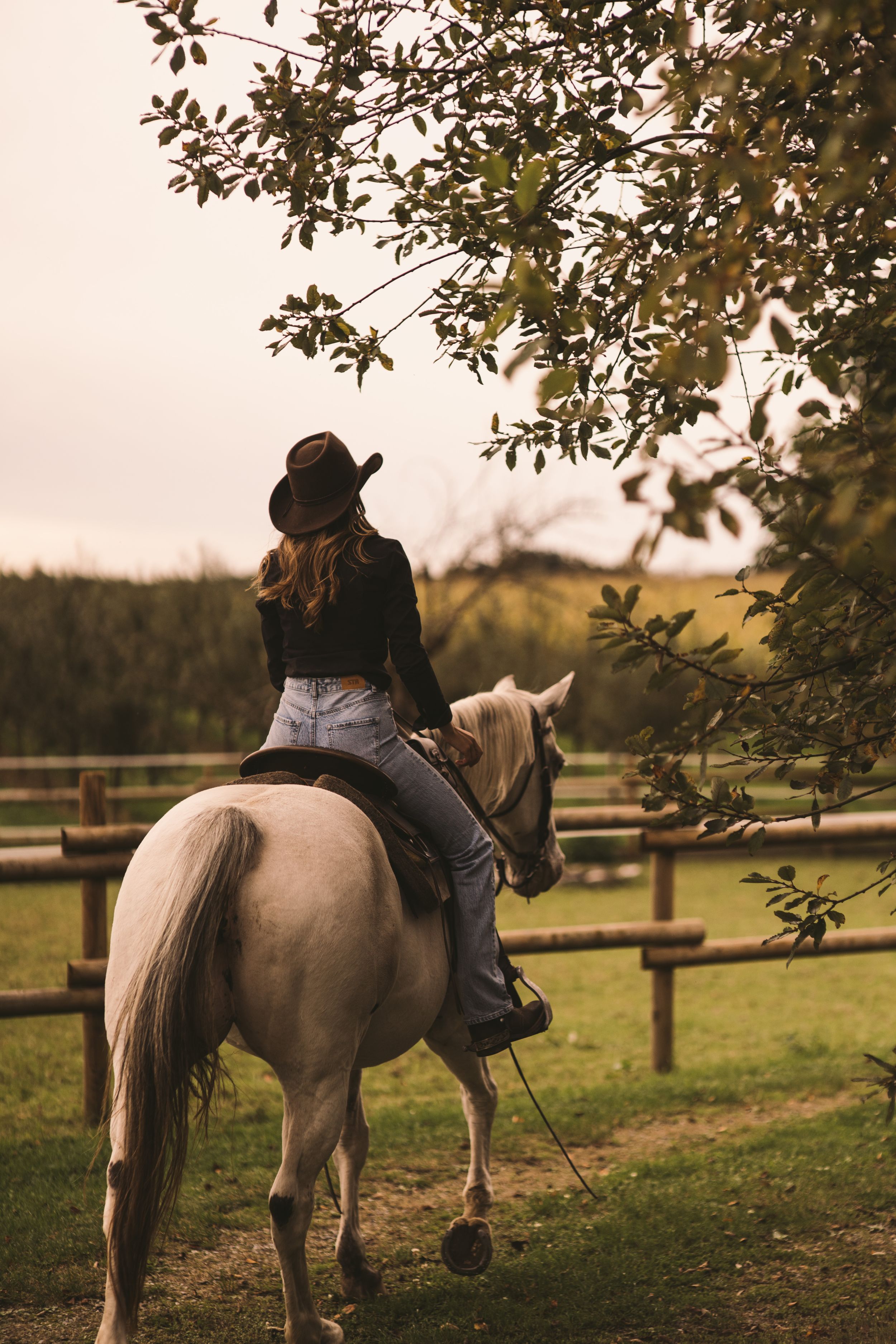 Riding Horse Ranch