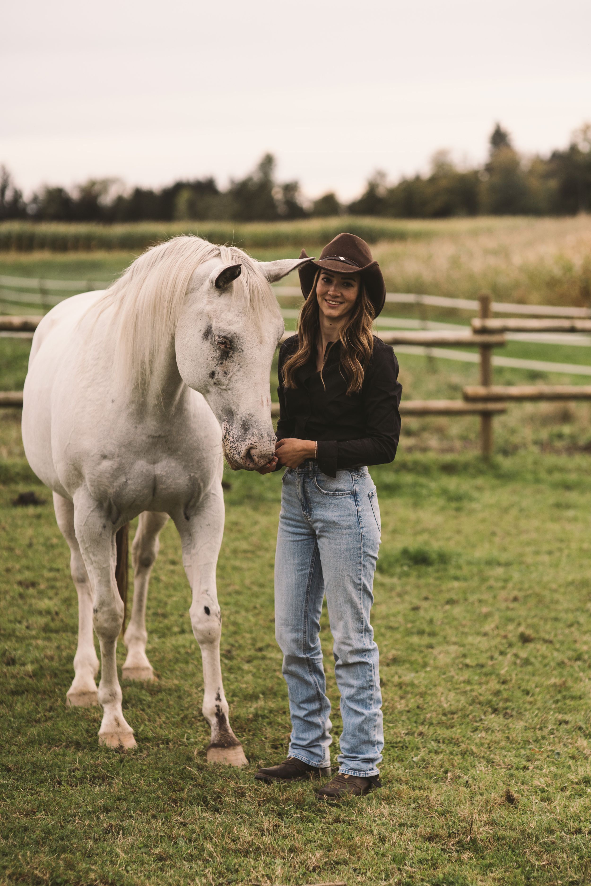 Portrait Horse
