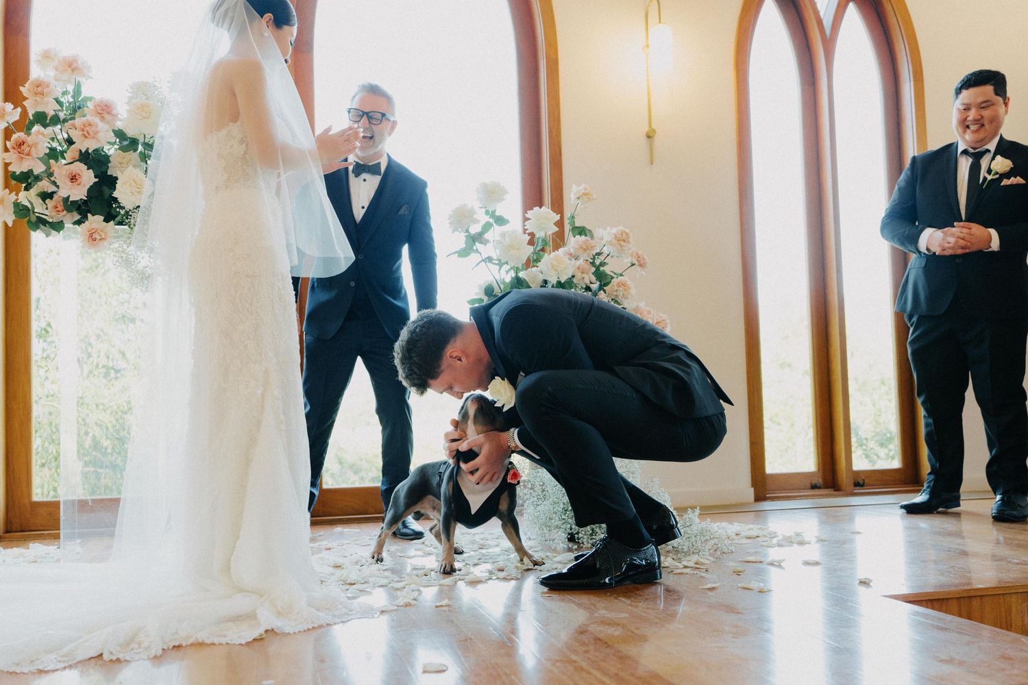 "Ring bearer dog at Gold Coast wedding, dressed in bow tie"