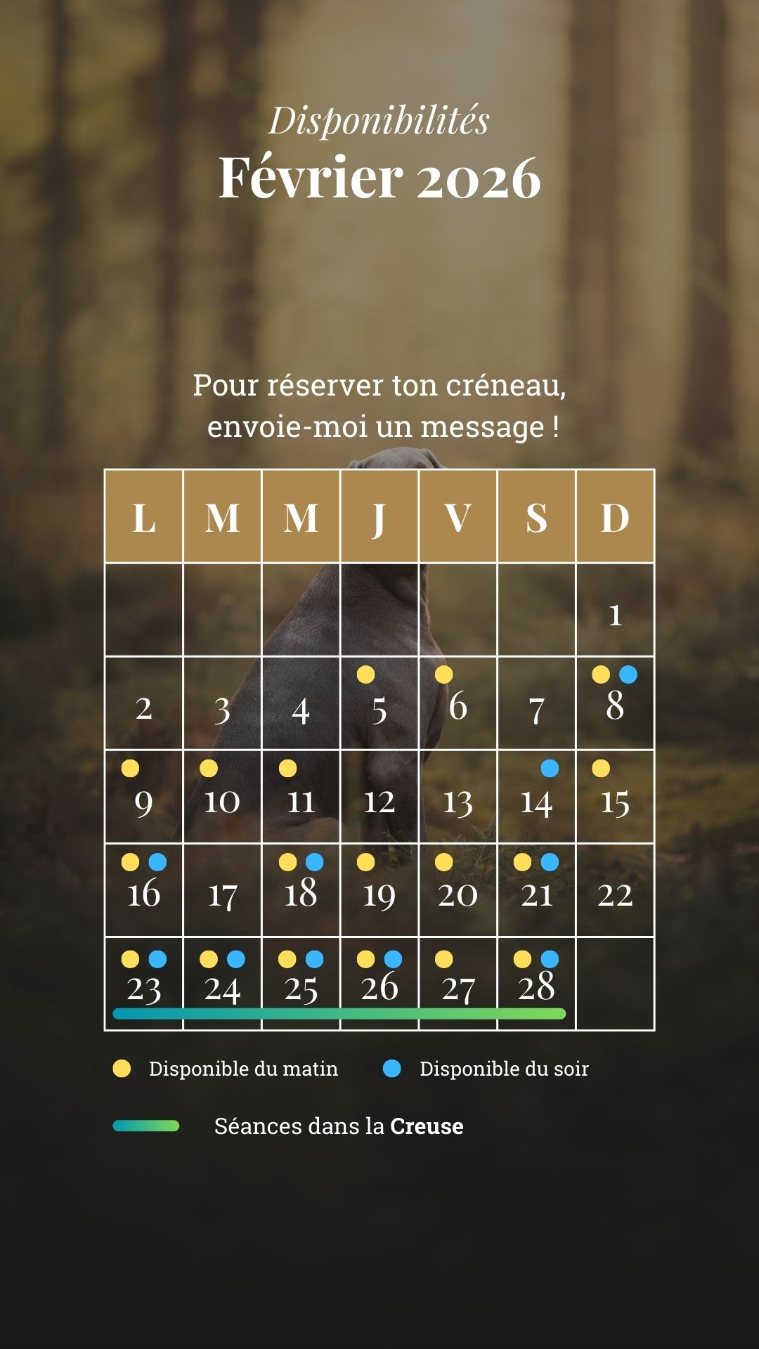 A French calendar showing June 2025 availabilities with yellow and blue dots indicating morning and evening slots.