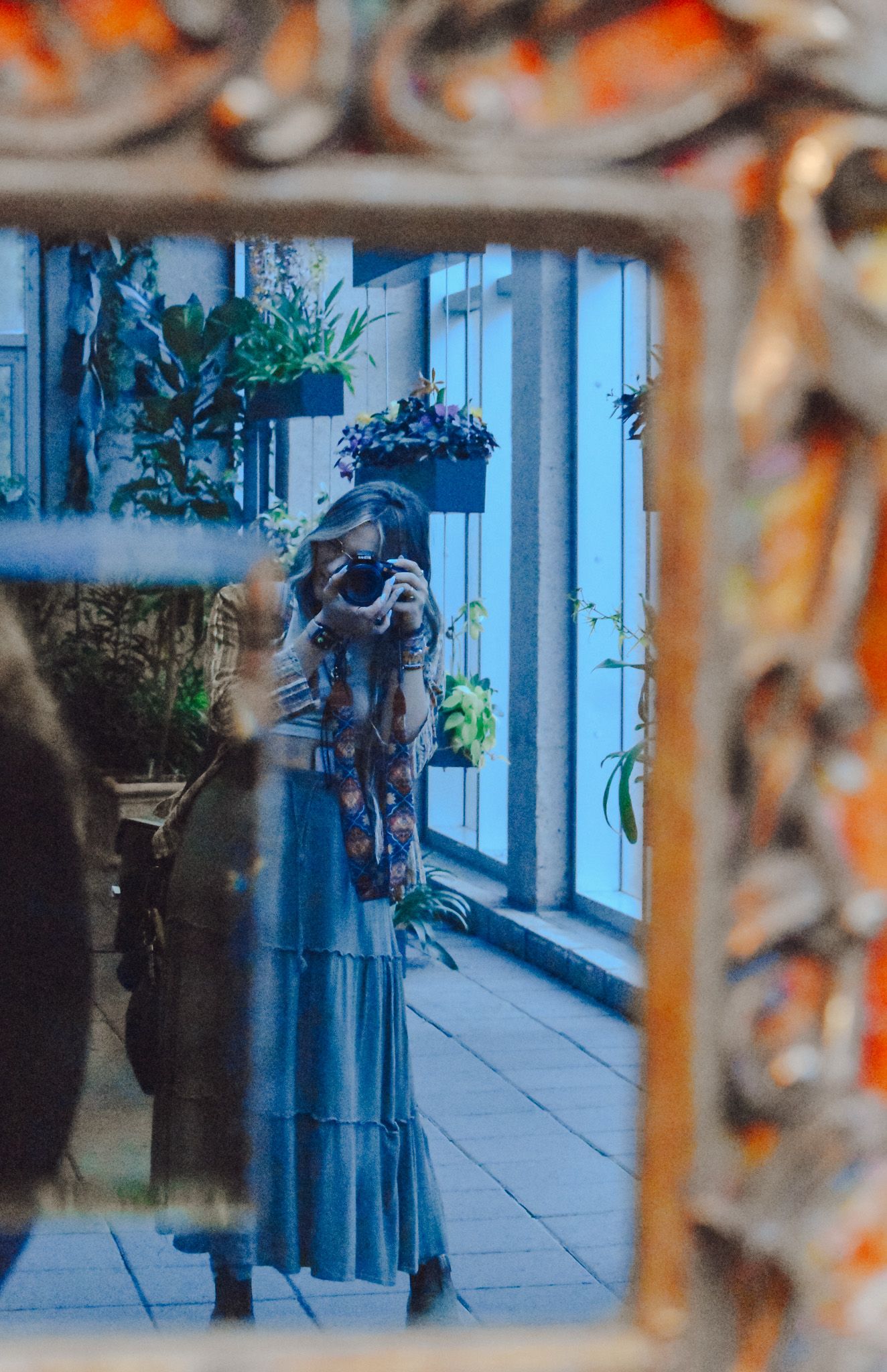 Artistic photo through decorative metalwork showing figure by blue window with plants.