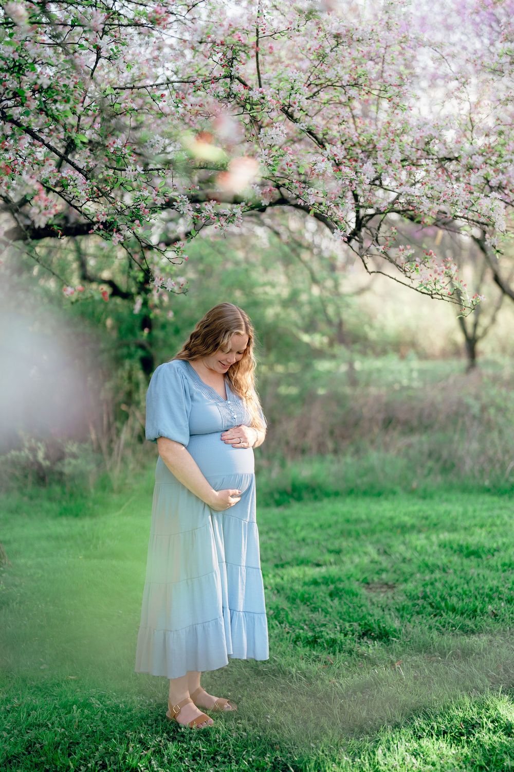 An expectant mother in a light blue dress stands under blooming cherry blossom trees at a F.A. Seiberling Nature Realm Maternity Session