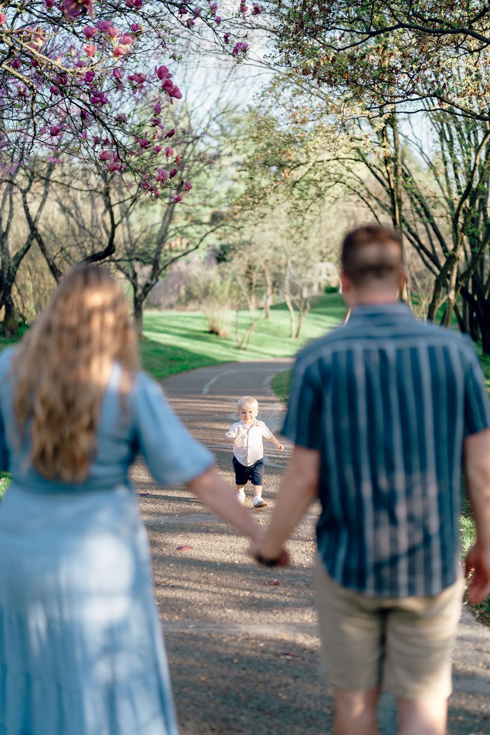 Toddler runs joyfully down a cherry blossom-lined path while parents watch from behind at maternity session at F.A. Seiberling Nature Realm.