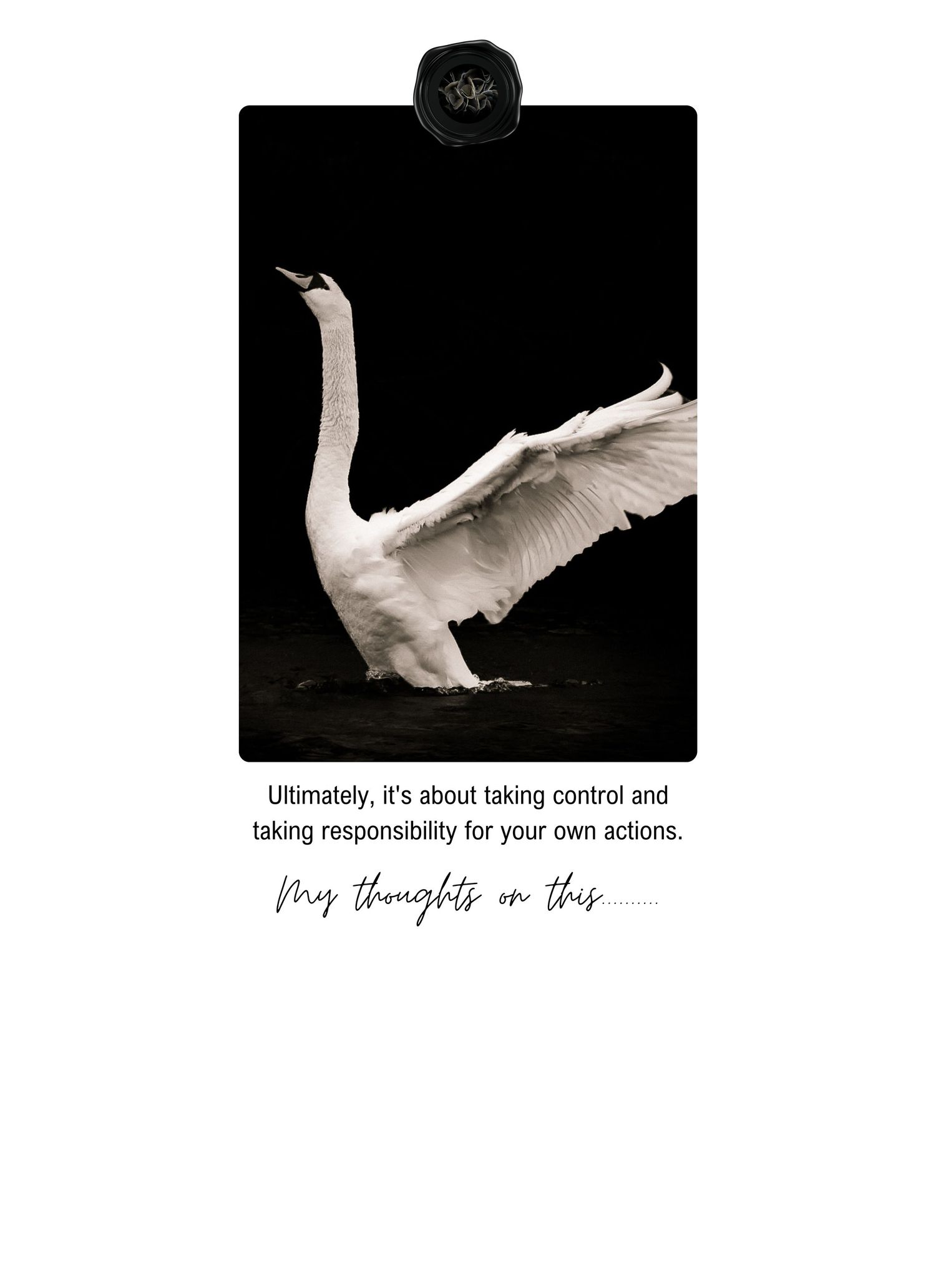 A swan spreading its wings dramatically against a black background with motivational text about taking responsibility below.