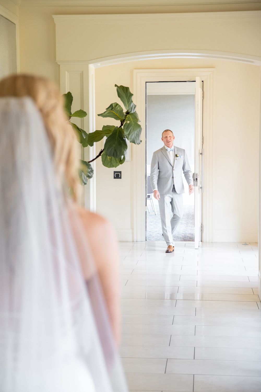 A light-filled hallway featuring an elegant grey suit and white dress with a decorative fiddle leaf fig plant.