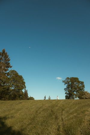 A wedding couple walks across a sunlit green meadow flanked by tall trees under a clear blue sky.