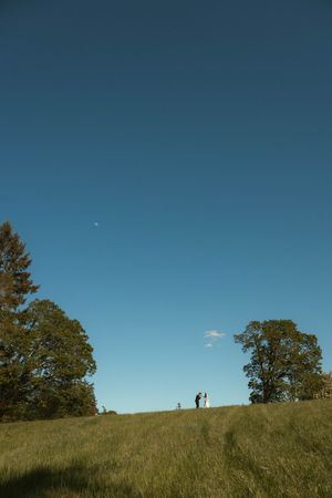 Couple standing on a green hillside with tall trees under a clear blue sky on a sunny day.