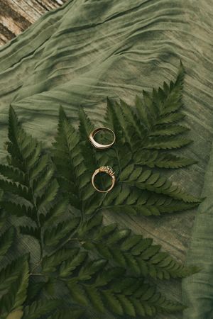 Several gold wedding rings arranged artistically on a green fern leaf against a rustic wooden background.