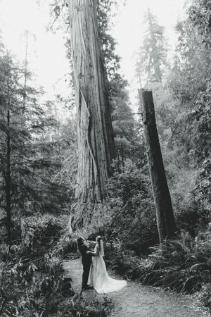 Black and white photo of a bride and groom embracing on a forest path surrounded by towering redwood trees.