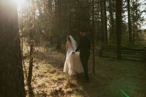 A couple in wedding attire embraces in a sunlit forest with golden sunbeams filtering through tall pine trees.