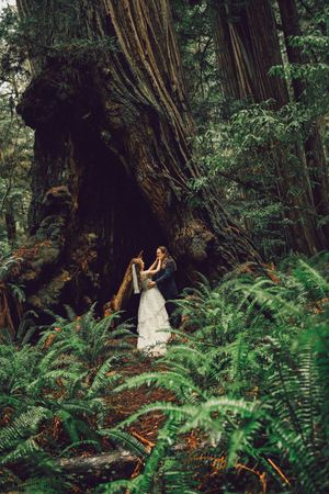 Bride and groom embrace among lush ferns beside a massive redwood tree in a enchanting forest wedding setting.