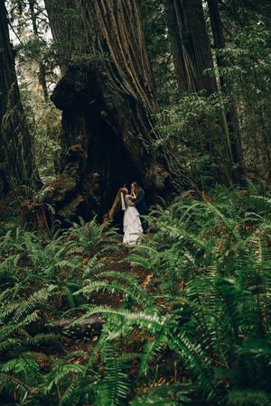 A bride and groom embrace among lush ferns beside a massive redwood tree in an enchanting forest wedding setting.