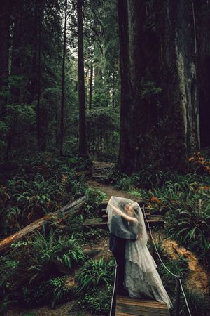 A bride and groom share a kiss under a veil on a wooden path surrounded by lush green forest trees.