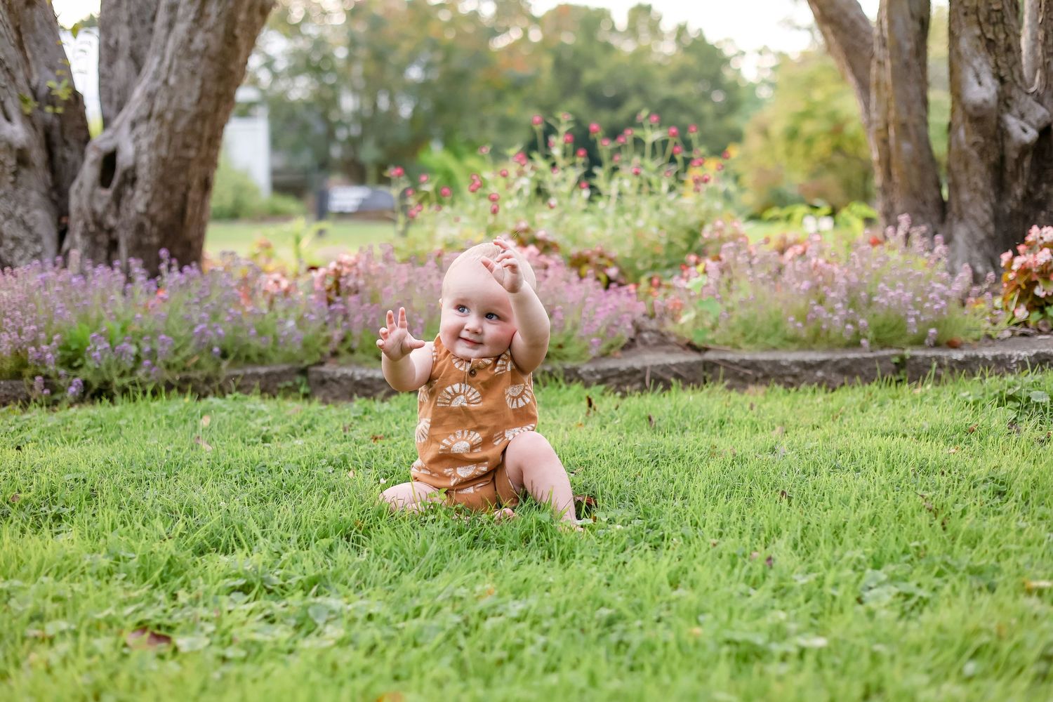 Springfield, IL family photographer captures a young boy sitting in the grass at Washington Park Botanical Gardens in Central, IL