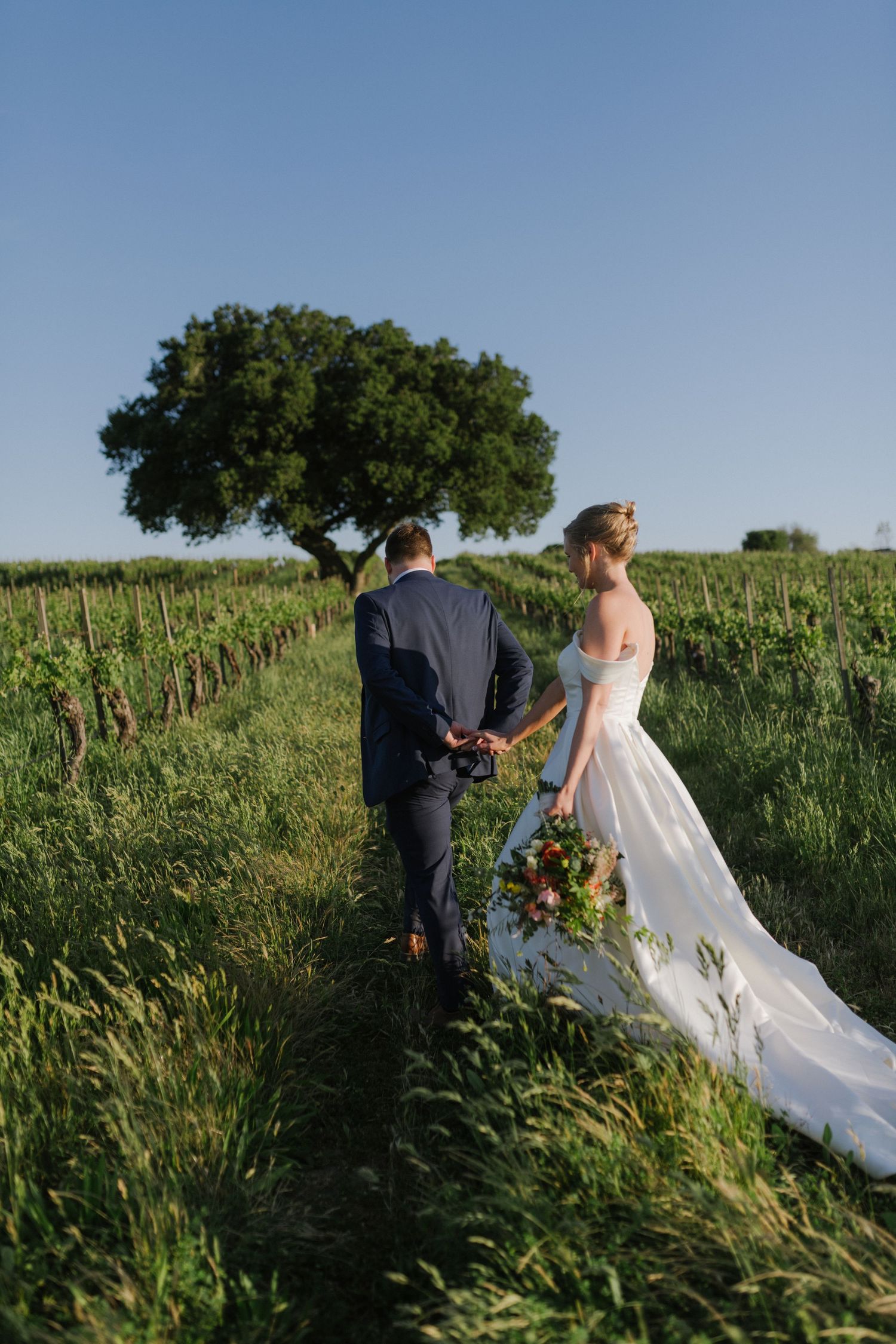 A couple walks hand in hand through a vineyard with a large oak tree in the background.