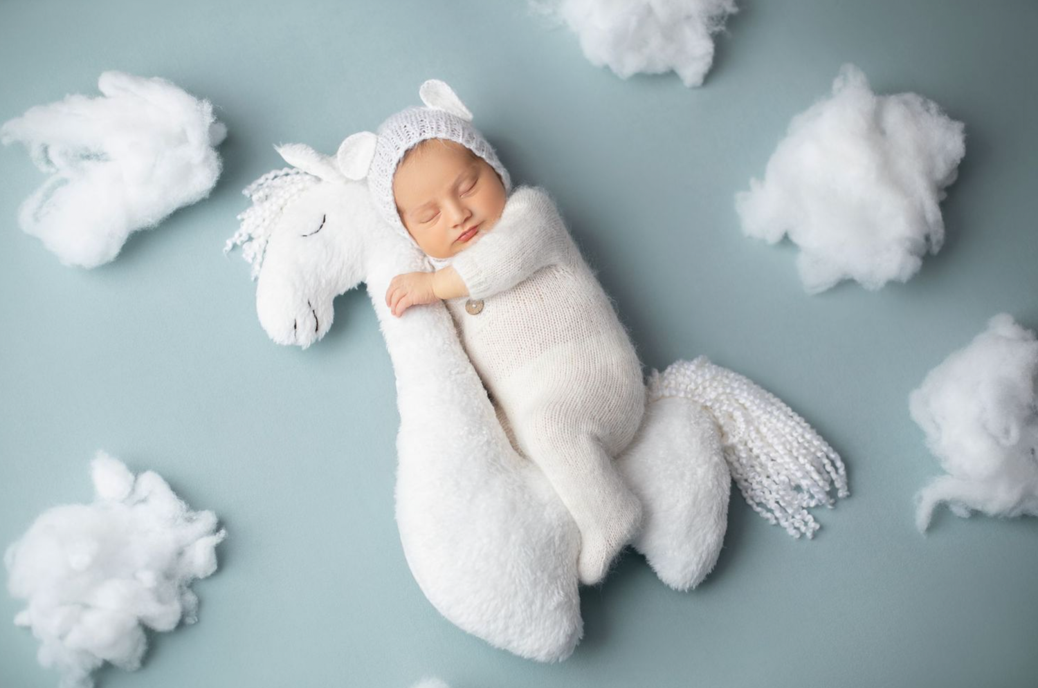 baby photography