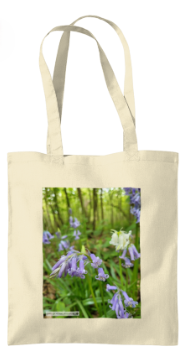 Bluebells cotton tote bag landscape photography gift.