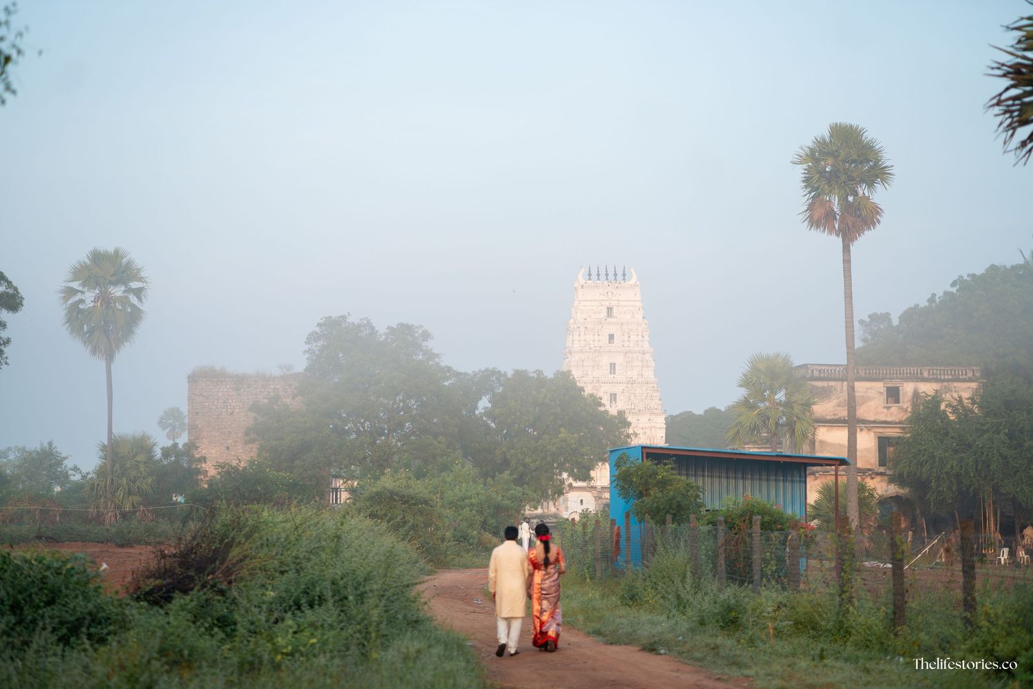 A misty morning view of a rural Indian village path with palm trees and a temple tower visible in the background.