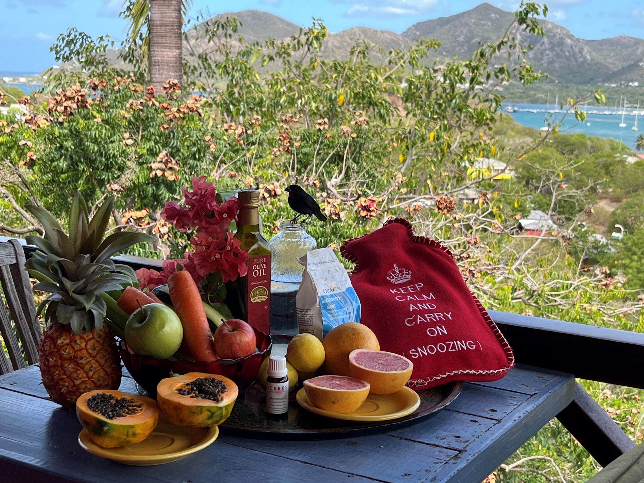Tropical fruit platter with pineapple, papaya, and citrus on a table overlooking a lush Caribbean hillside and bay.