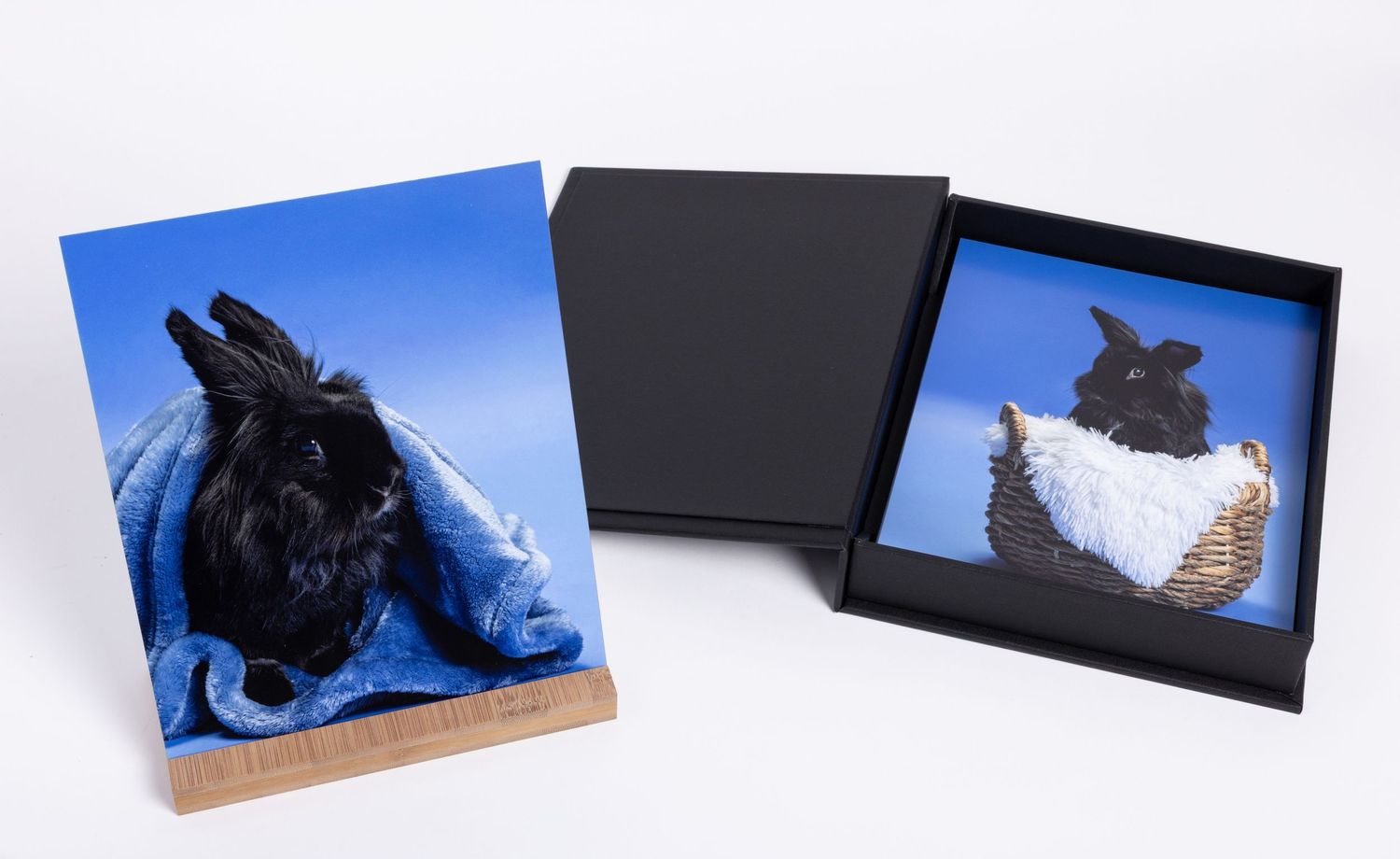 Mounted prints of a black rabbit photographed against a blue background stored in a portrait box.