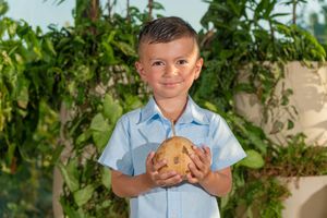 Young boy in blue shirt proudly holding a large potato outdoors with green plants in background.