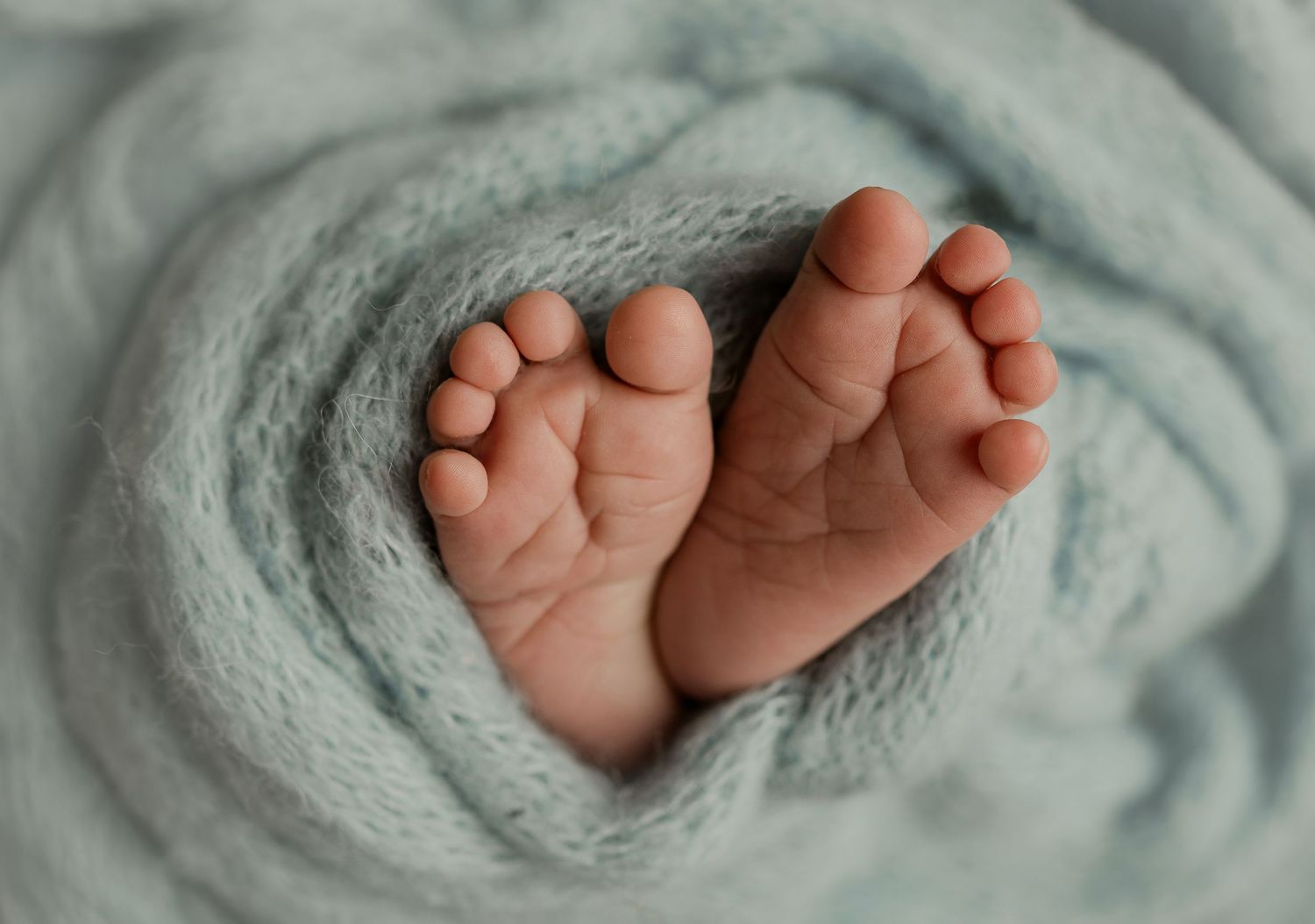 Close-up of newborn baby feet wrapped in a soft light blue knitted blanket.