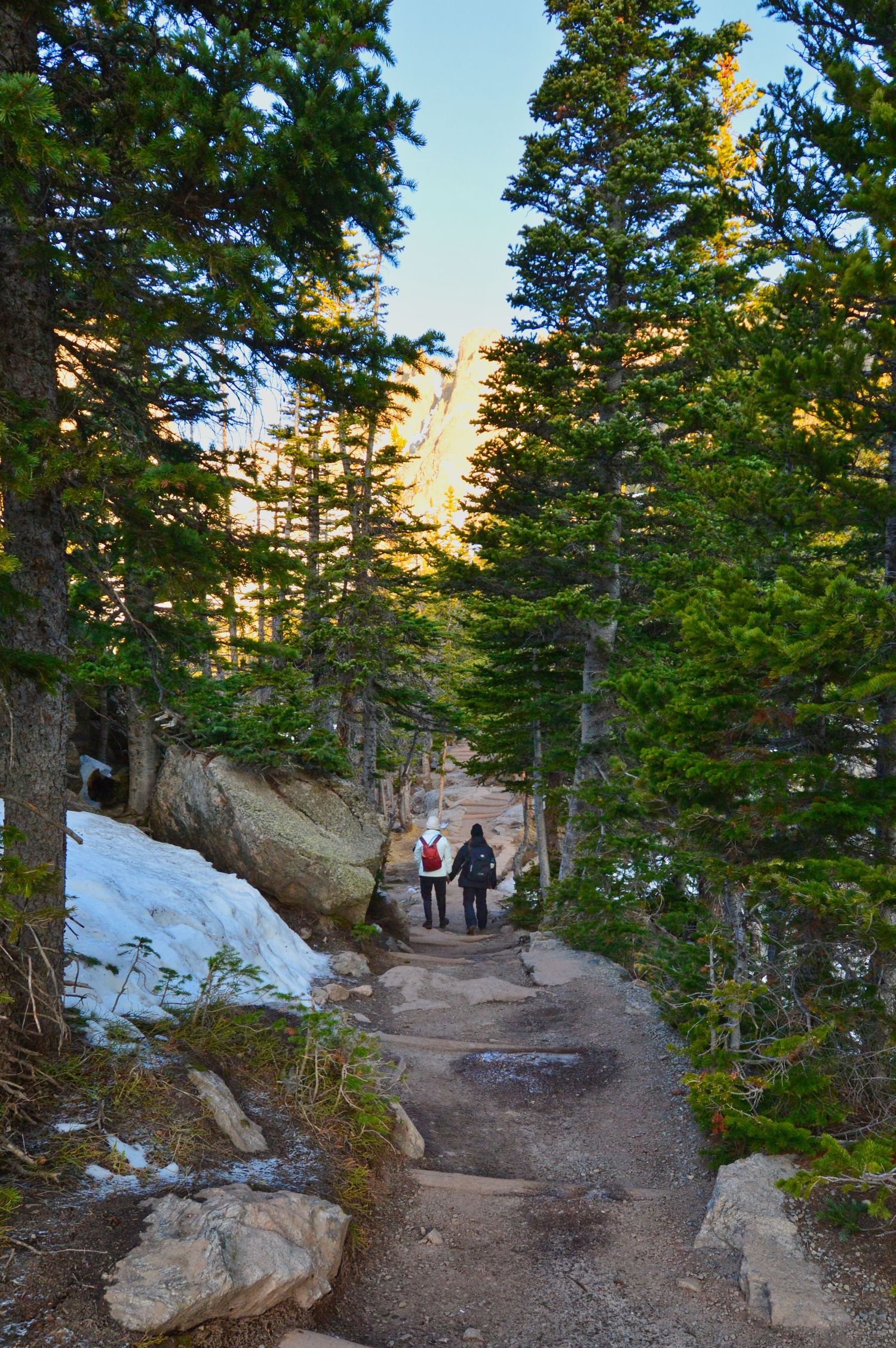 Couple walking down a trail at Dream Lake. Pixcapades | The Rocky Mountain Proposal Photographer
