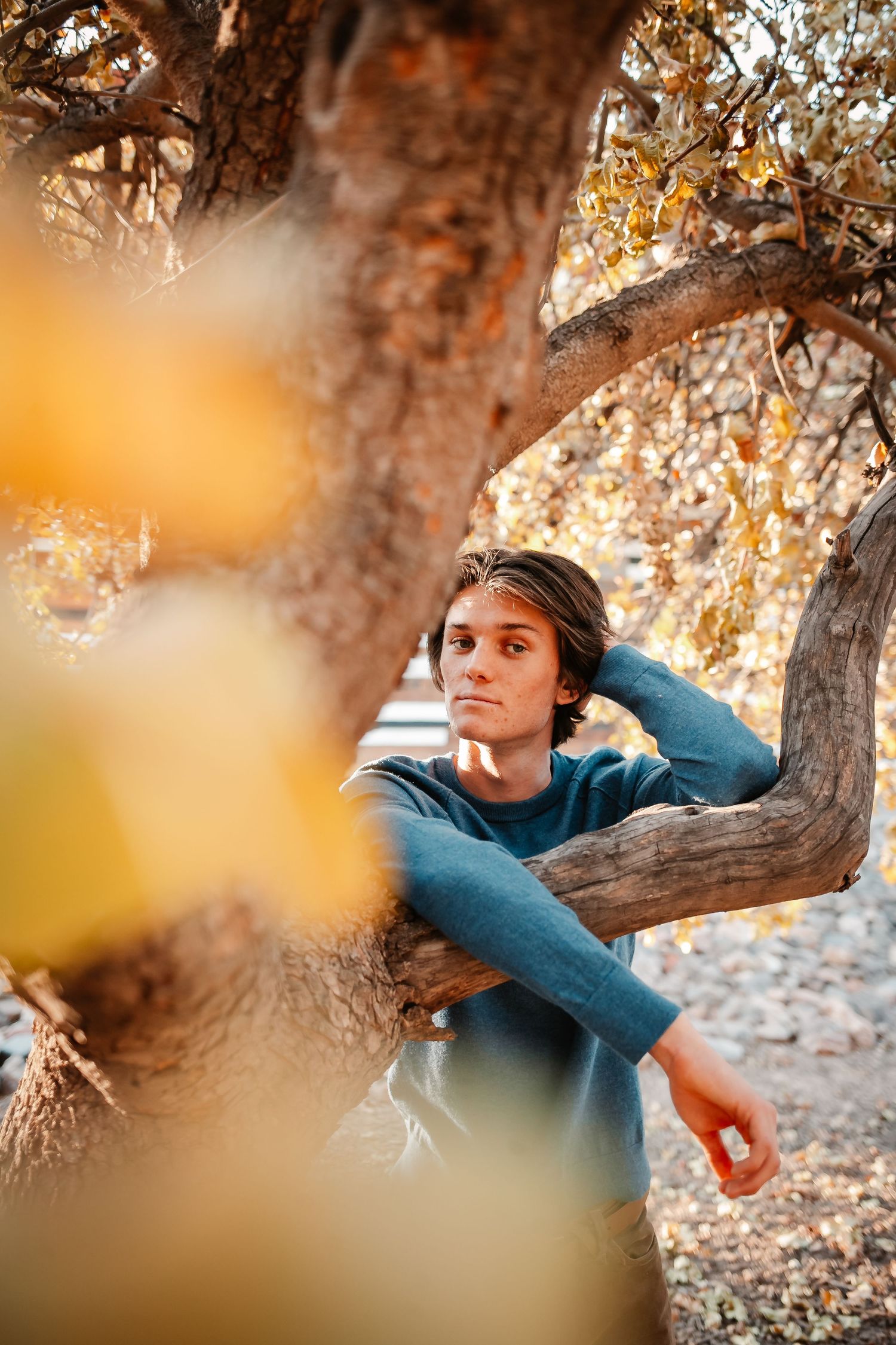 Young man in blue sweater leaning against a gnarled tree surrounded by golden autumn foliage.