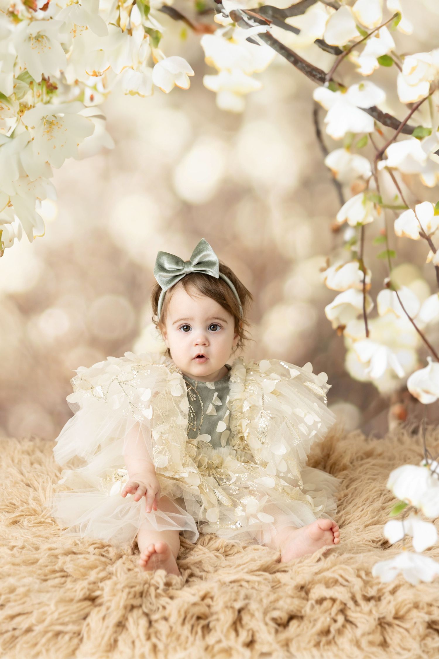 First Birthday photoshoot