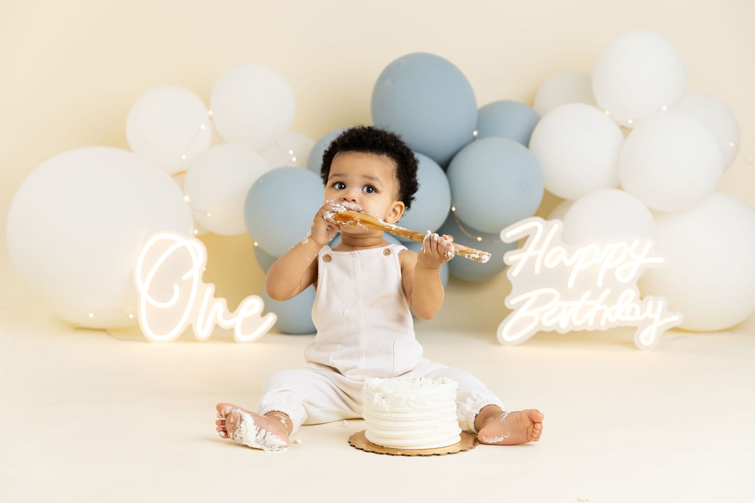 cake smash photographer charlotte nc