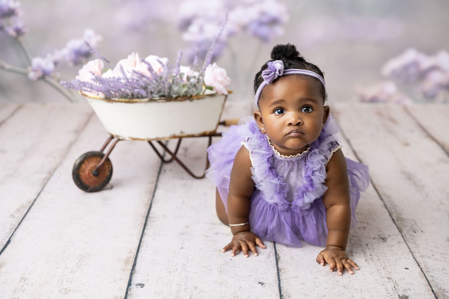 charlotte nc cake smash photographer