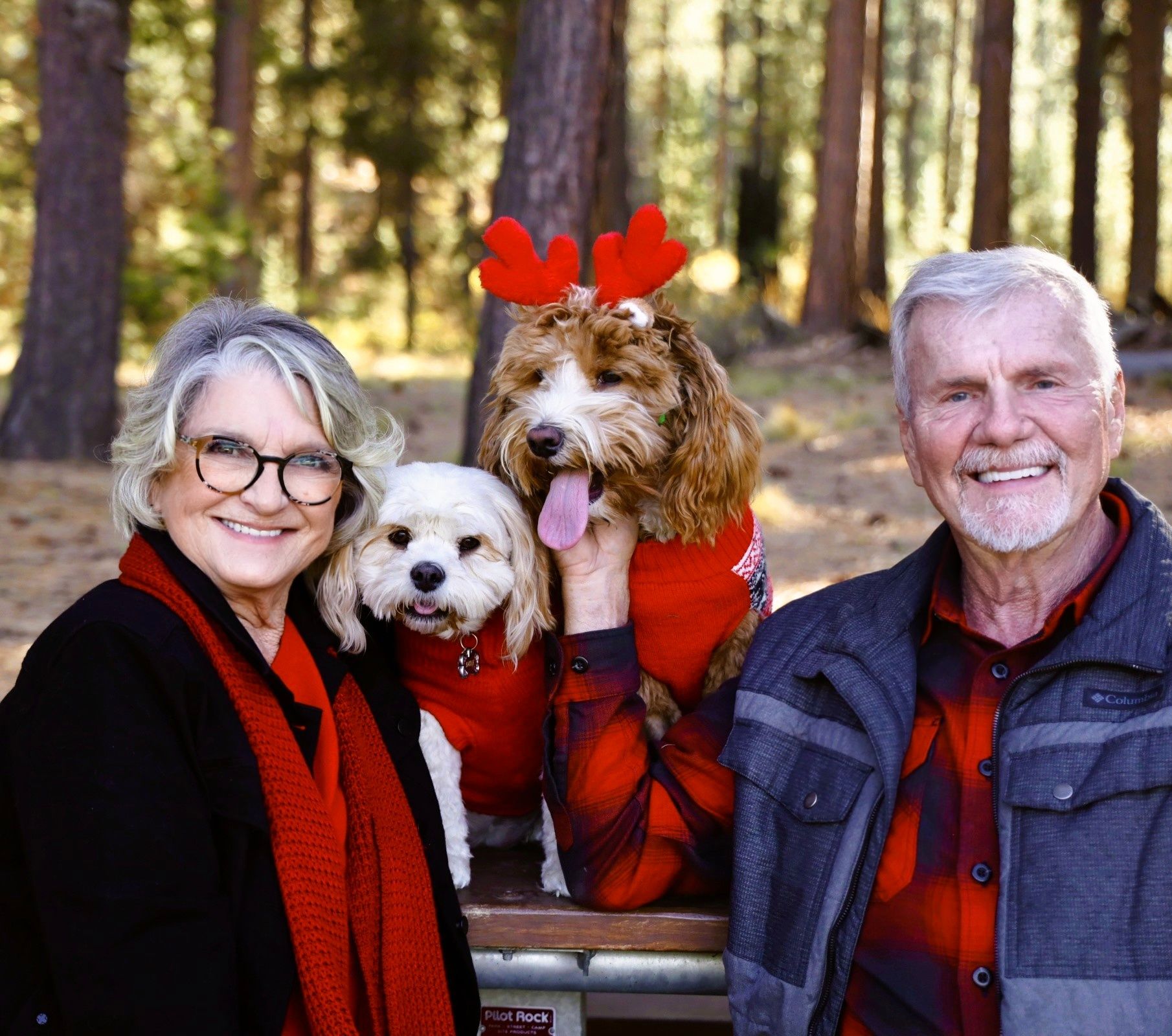 Two people in red holiday attire pose outdoors with two dogs, one wearing festive reindeer antlers.
