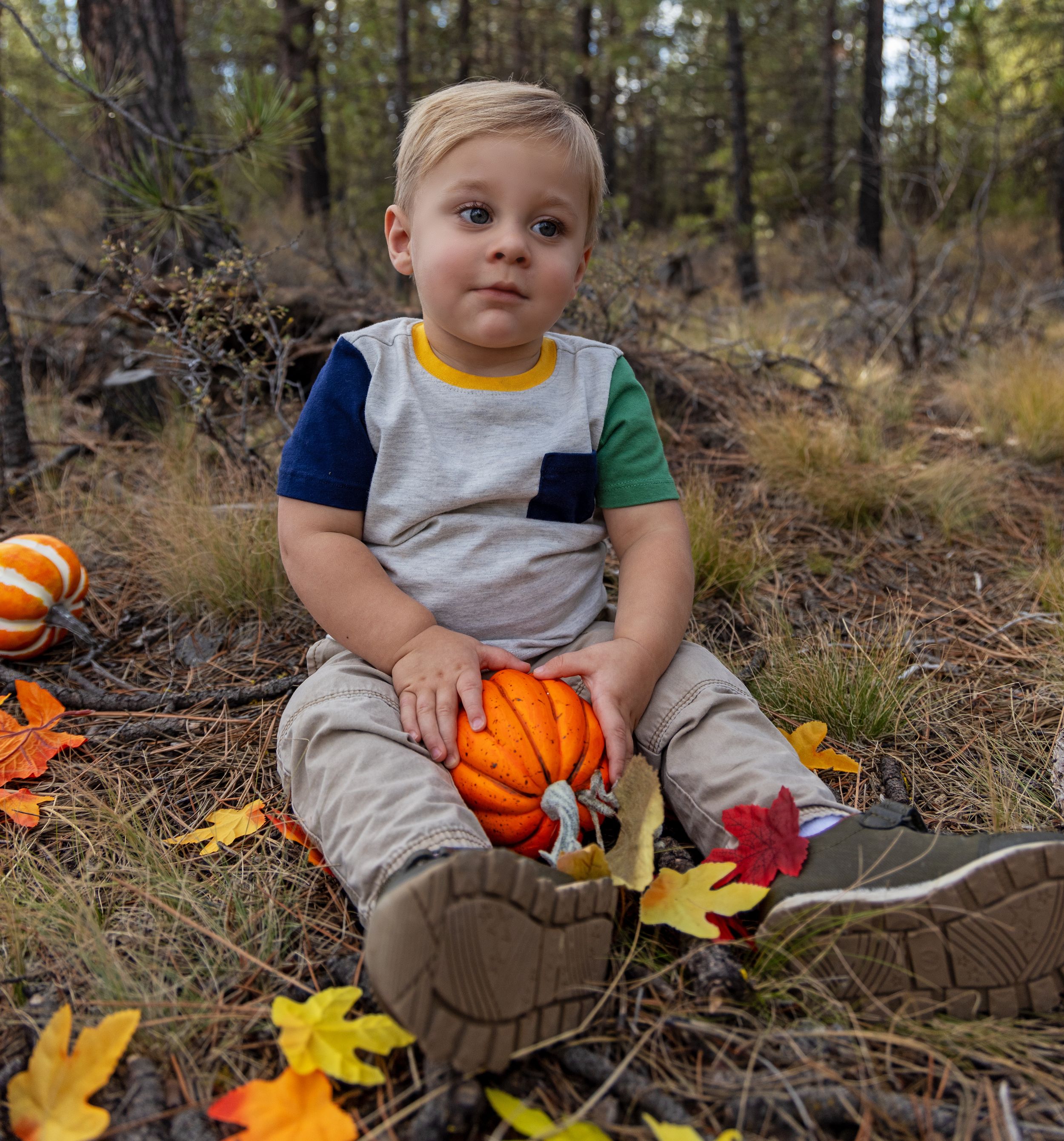 Young child sits in autumn leaves with orange pumpkins scattered around in a wooded outdoor setting.